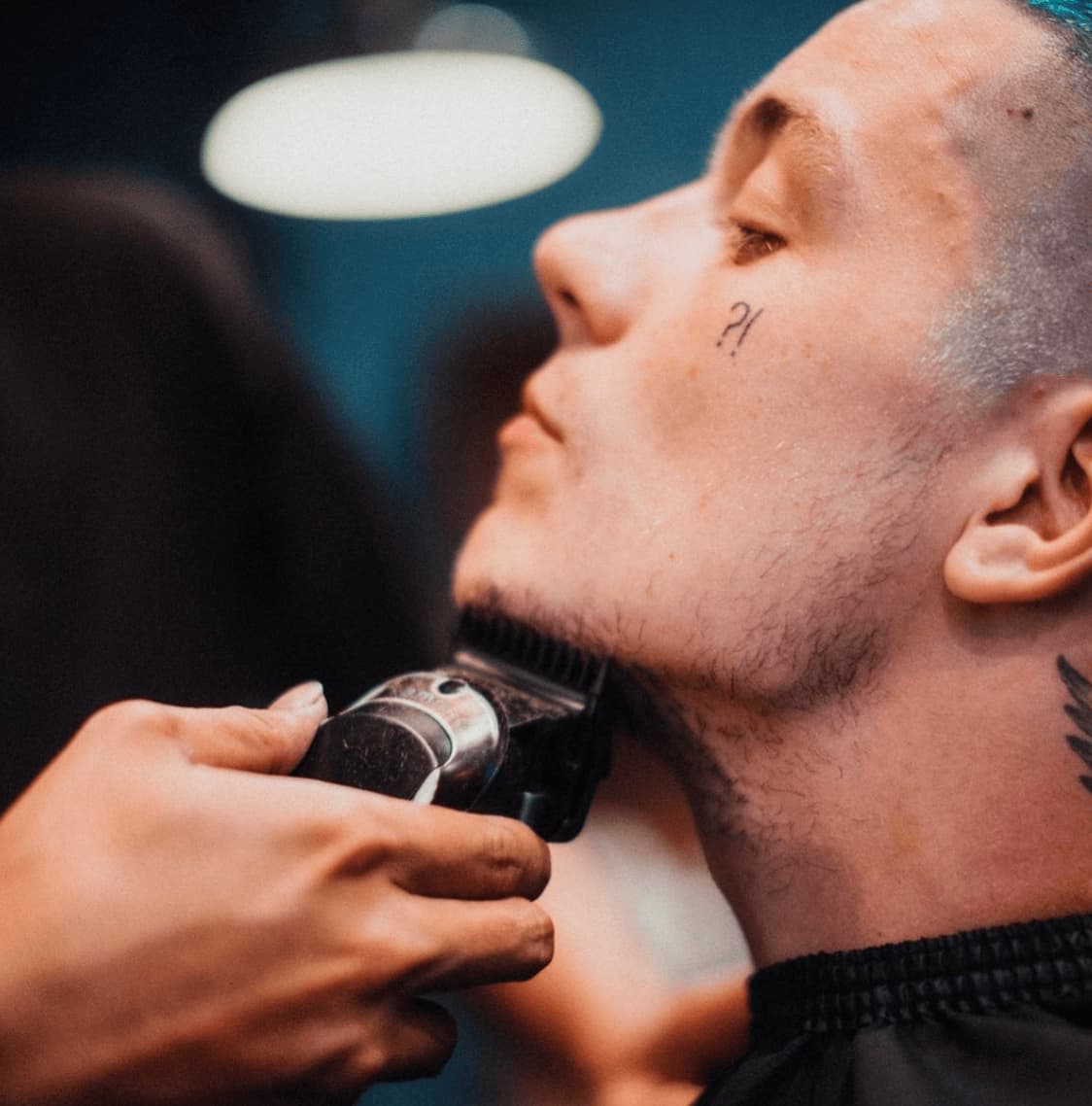 Cut 13